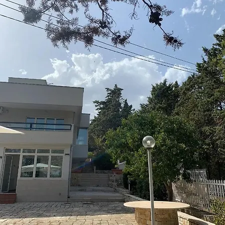 Panorama *